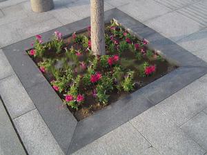 树围池石?
